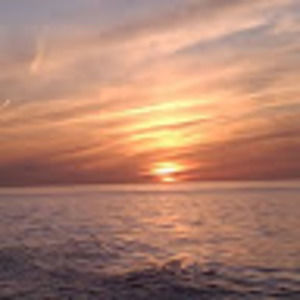 Meet your Posher, Phyllis a